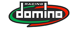 Racyng Domino